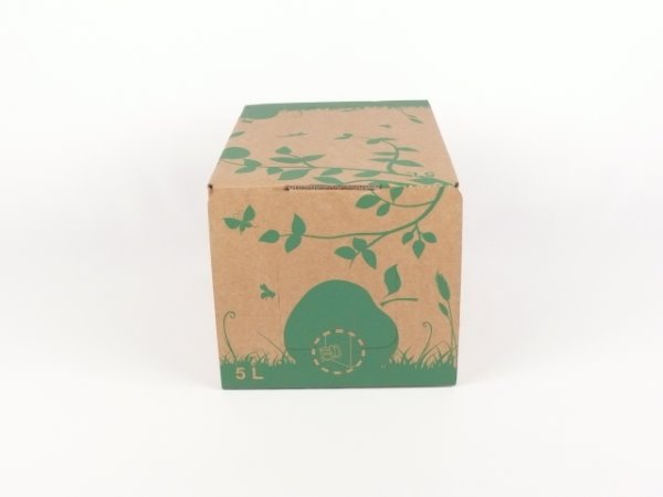 Karton Bag in Box 5 Liter braun-grün, Saftkarton, Faltkarton, Apfelsaft-Karton, Saftschachtel, Schachtel. - 3